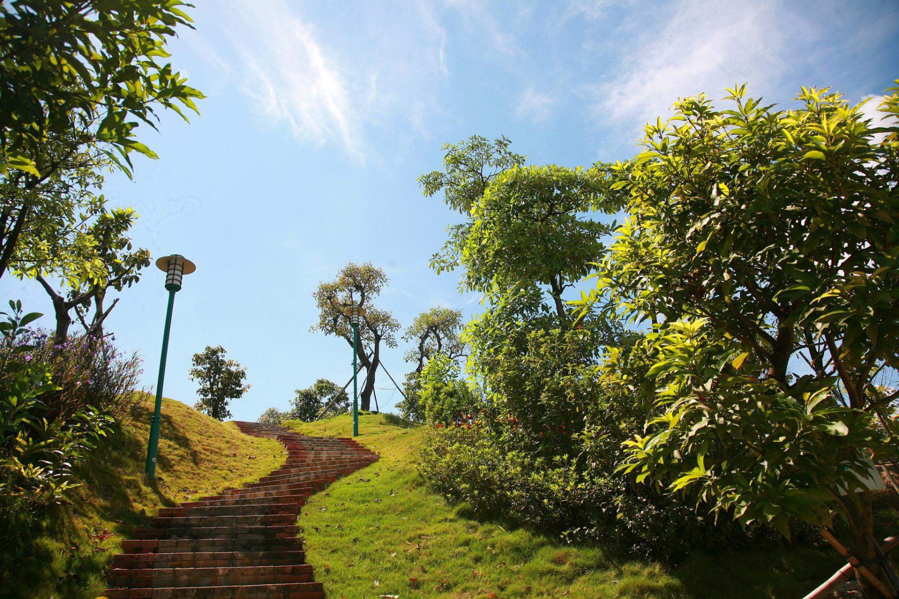 深圳科学高中龙岗分校