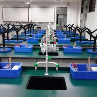 深圳科学高中校园环境