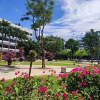 深圳市蛇口育才教育集团育才中学校园环境