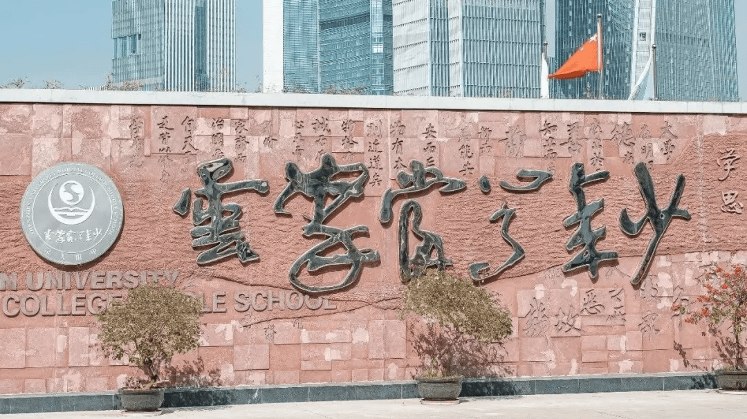 深圳大学附属中学