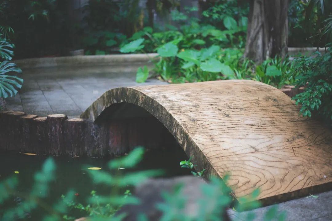 深圳市高级中学中心校区