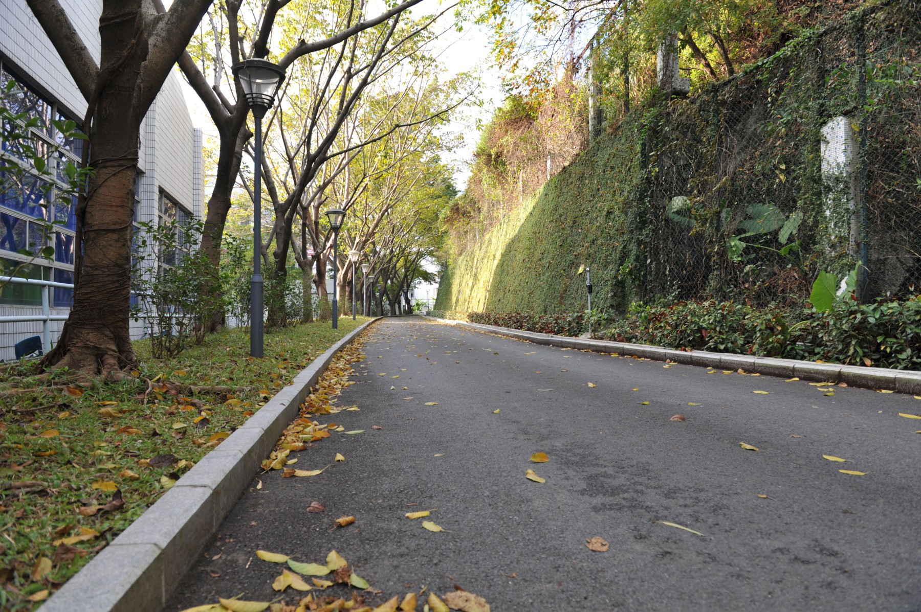 深圳实验学校高中部