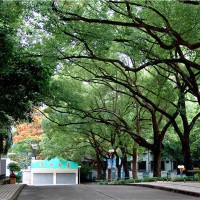 深圳中学校园环境