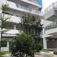 龙华中学校园环境