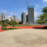 沙井中学校园环境