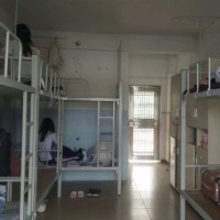 平湖外国语学校校园环境