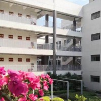 布吉高级中学校园环境