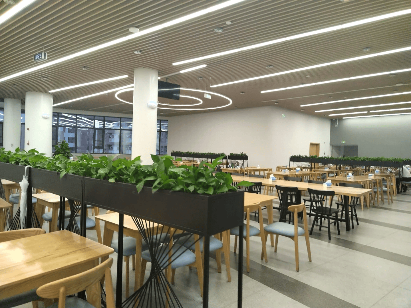 深圳外国语学校博雅高中