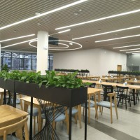 深圳外国语学校博雅高中校园环境