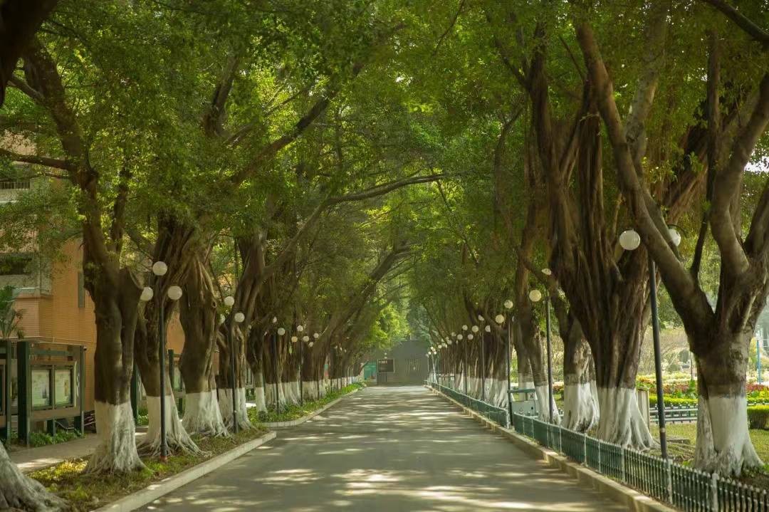 光明区高级中学