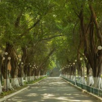 光明区高级中学校园环境