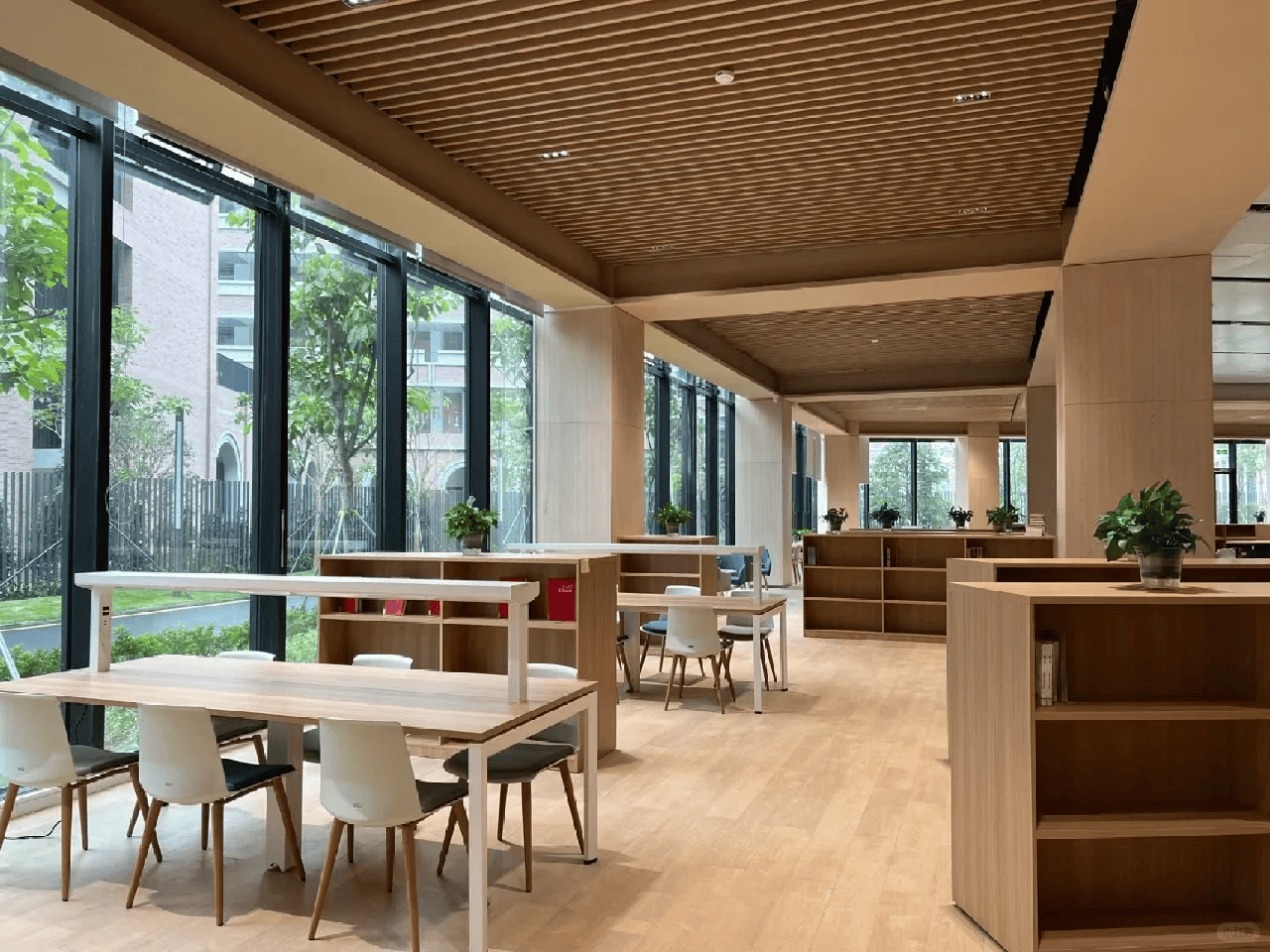 深圳市高级中学文博高中