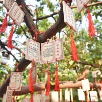 深圳市龙岗区实验高级中学校园环境