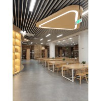 深圳市龙岗区实验高级中学校园环境