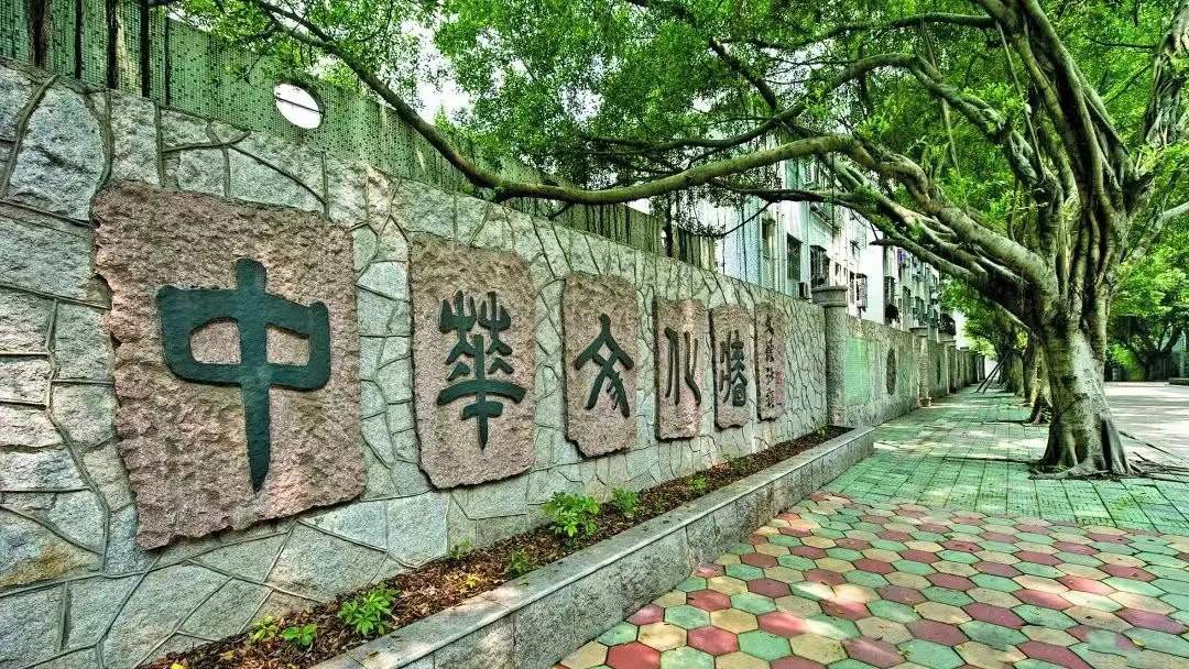 深圳市石岩公学（公办班）