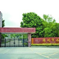 深圳市石岩公学（公办班）校园环境