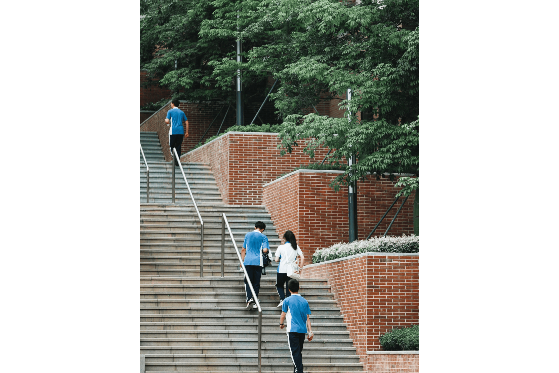 深圳市高级中学理慧高中