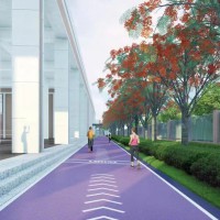 深圳市高级中学创新高中校园环境