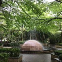 宝安第一外国语学校校园环境