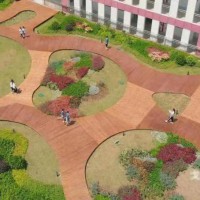 深圳市高级中学东校区校园环境