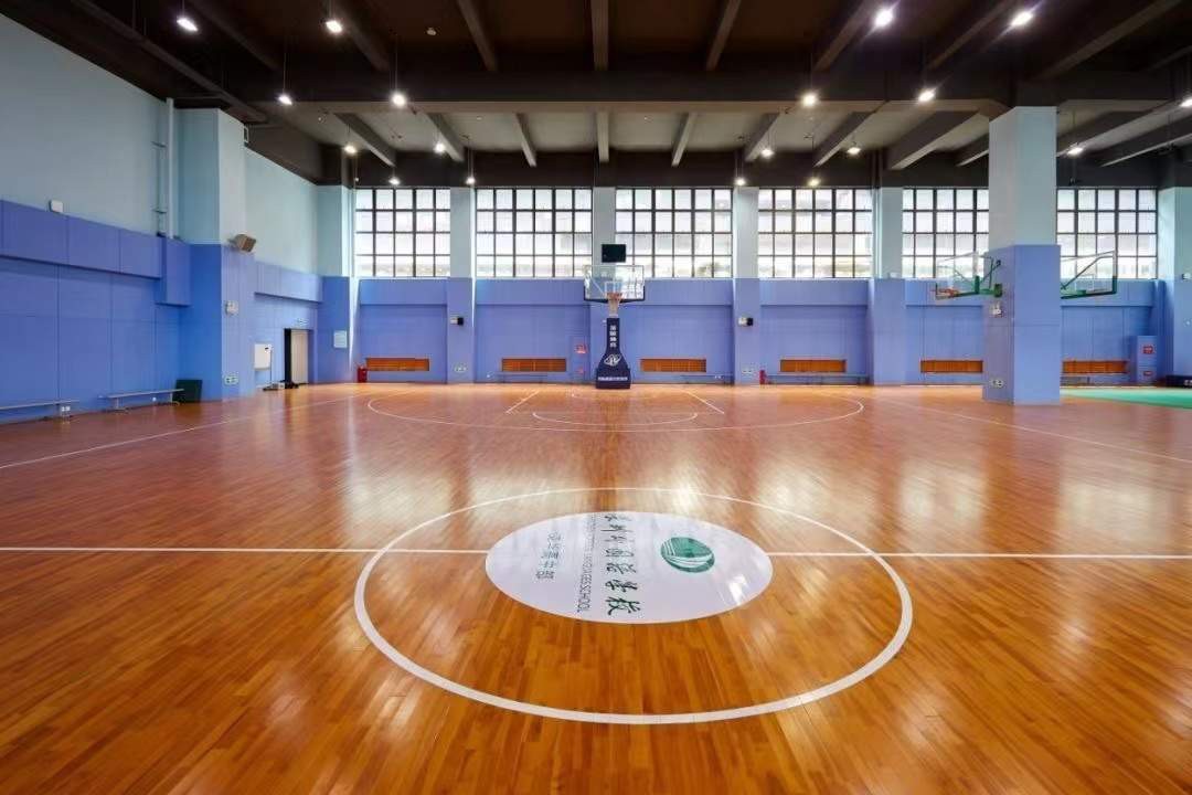 深圳外国语学校龙华高中部