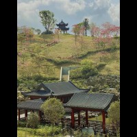 深圳市龙华高级中学教育集团校园环境