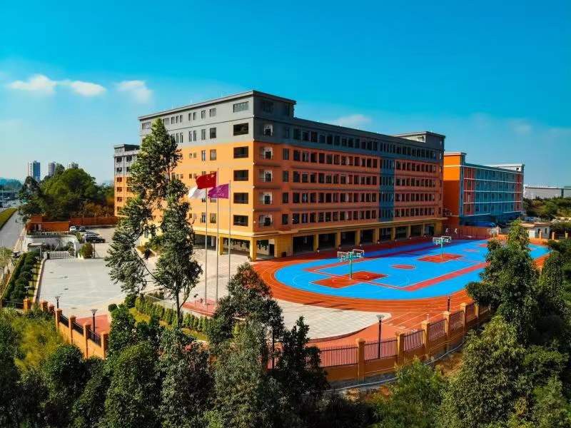 深圳市龙华高级中学教育集团