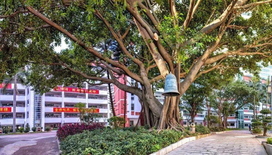 深圳市翠园中学