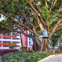 深圳市翠园中学校园环境