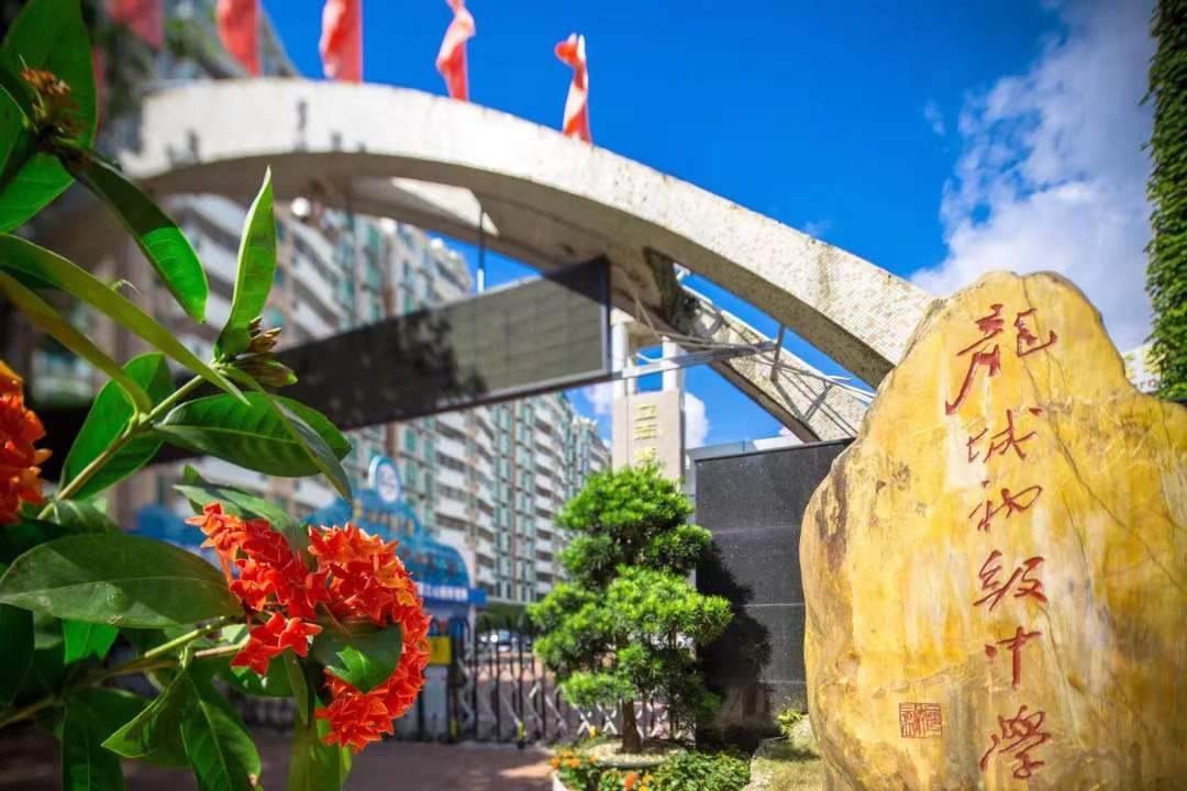 深圳市龙岗区龙城高级中学