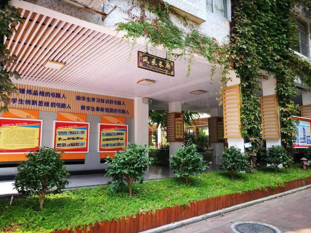 深圳市龙岗区龙城高级中学