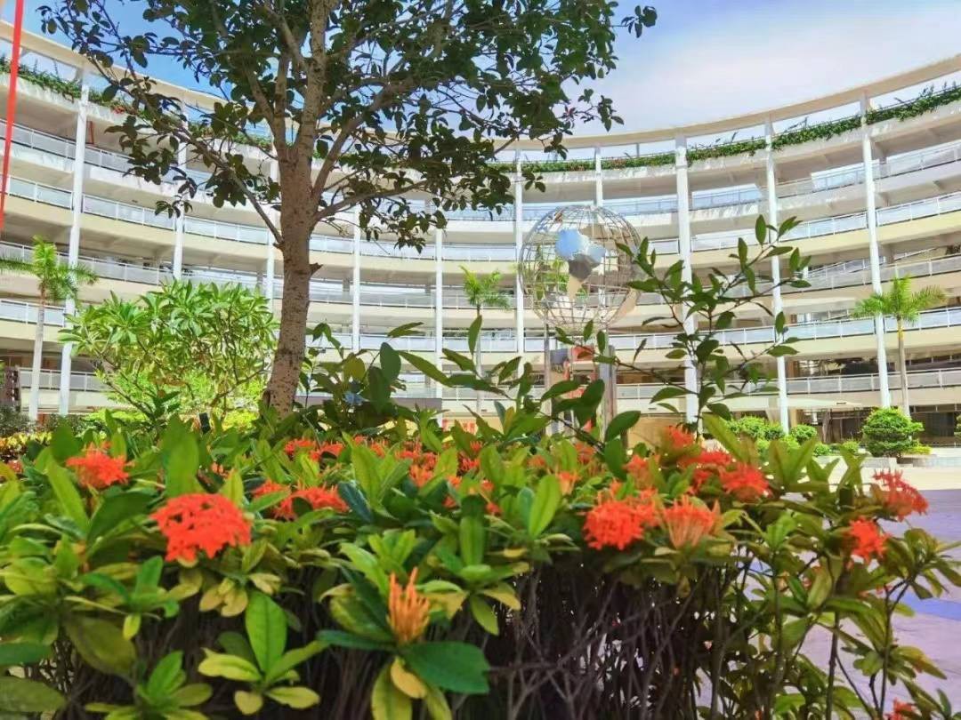 北京师范大学南山附属学校中学部