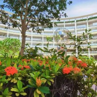 北京师范大学南山附属学校中学部校园环境