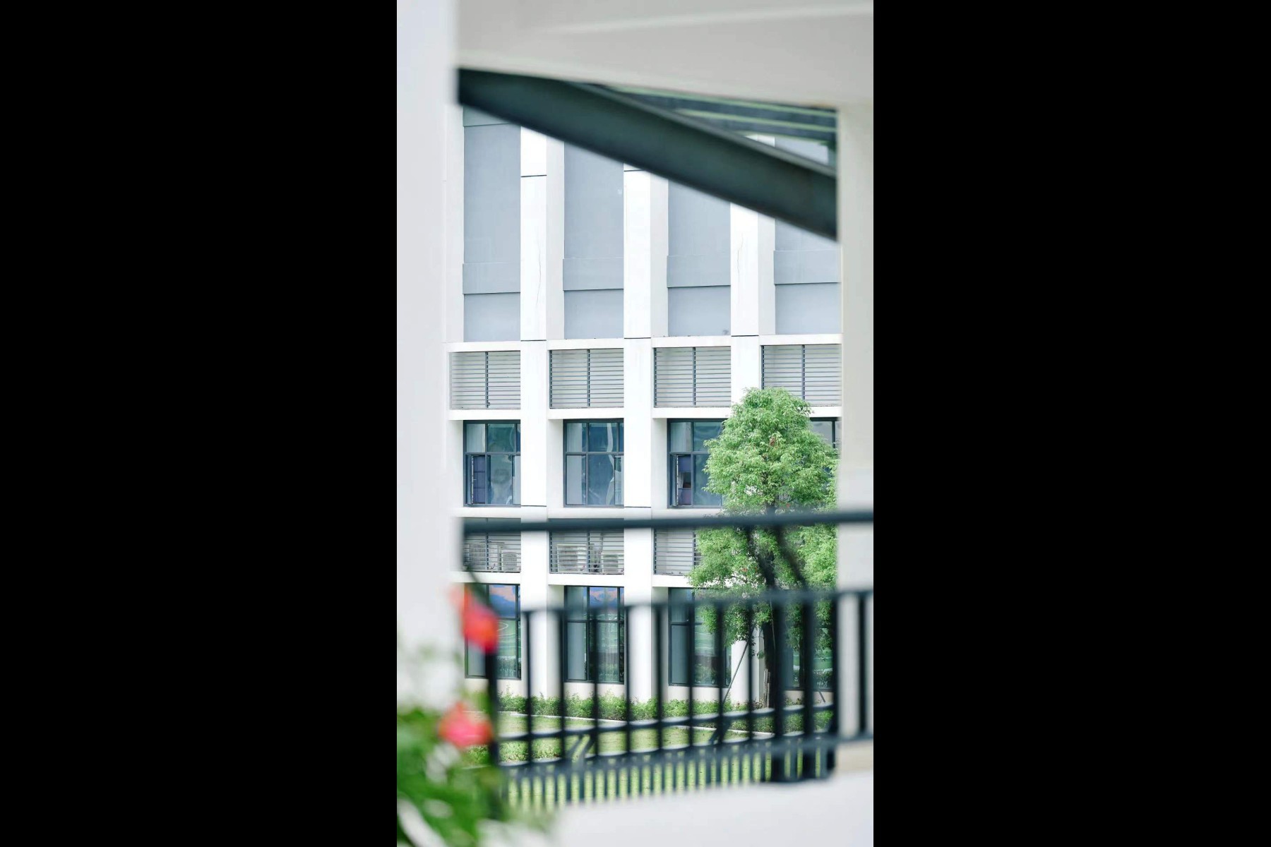 南方科技大学附属中学