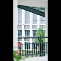 南方科技大学附属中学校园环境