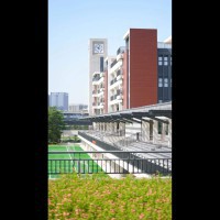 南方科技大学附属中学校园环境