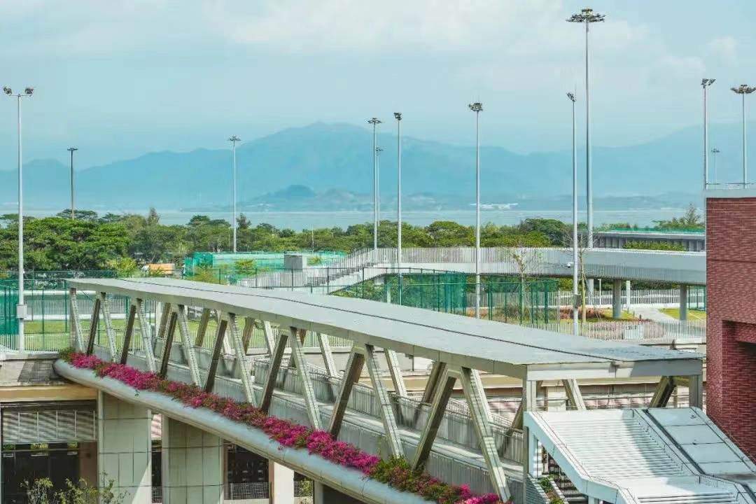 深圳市南山外国语学校（集团）高级中学