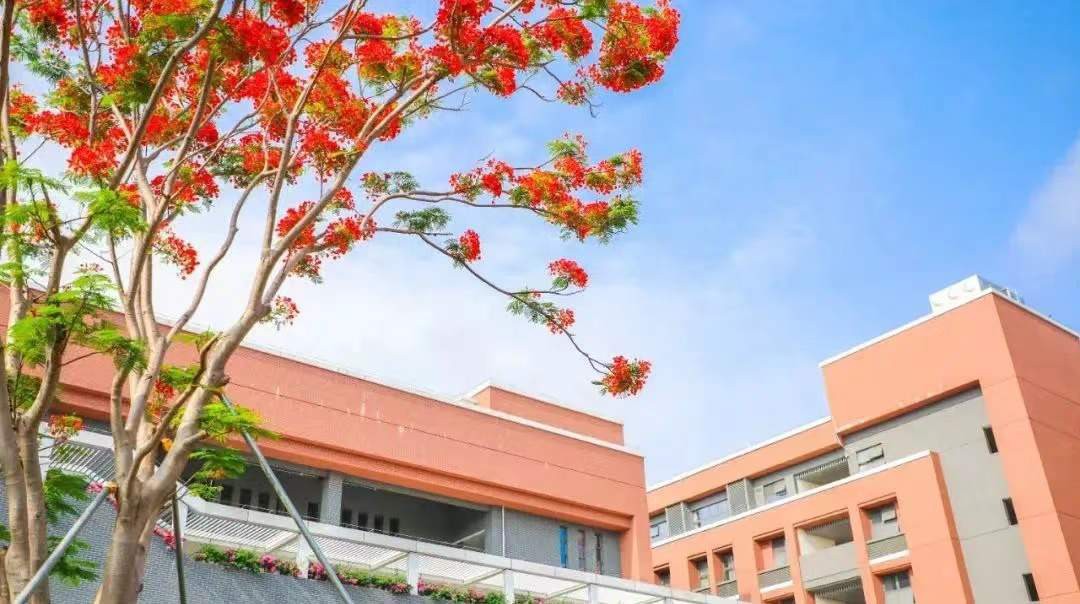 深圳市南山外国语学校（集团）高级中学