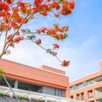深圳市南山外国语学校（集团）高级中学校园环境