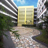 深圳市第二高级中学校园环境