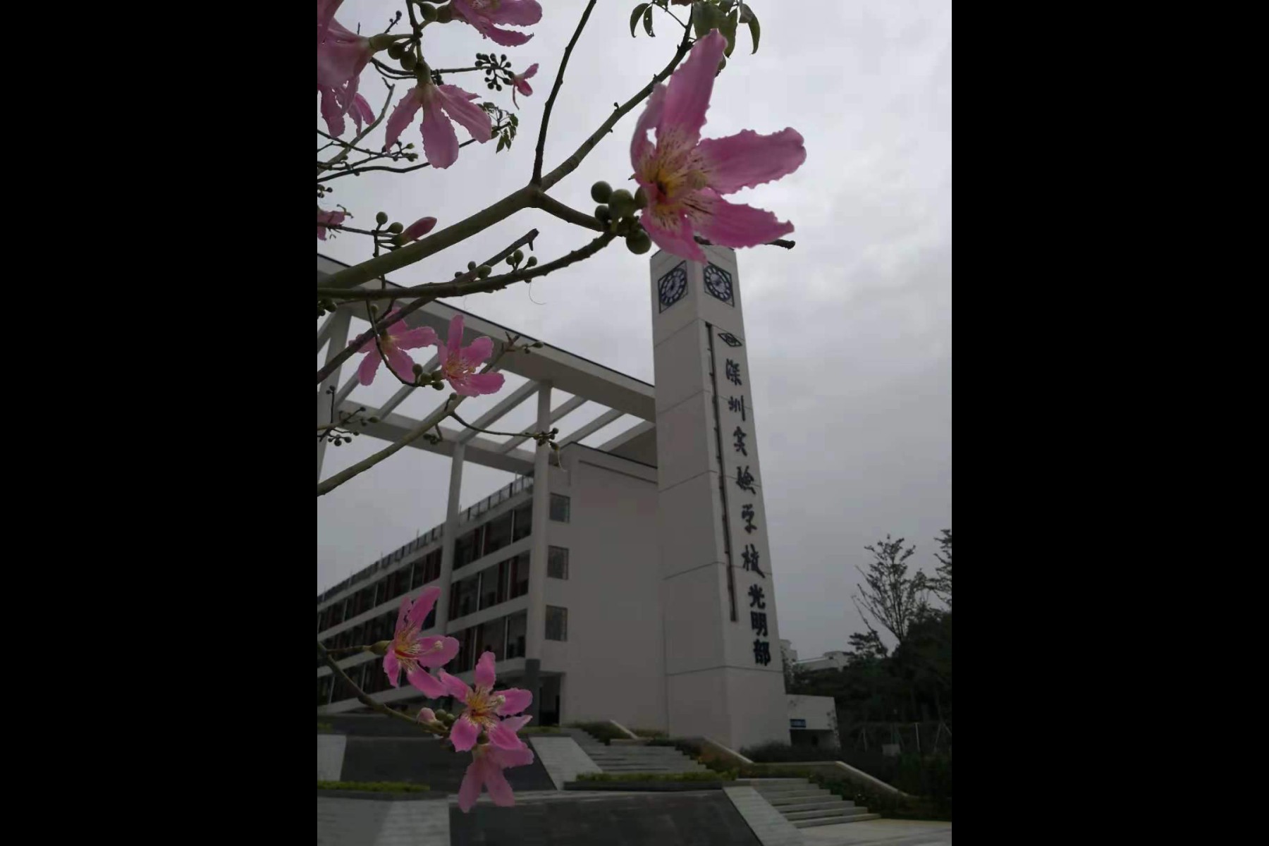 深圳实验学校光明高中部