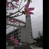 深圳实验学校光明高中部校园环境