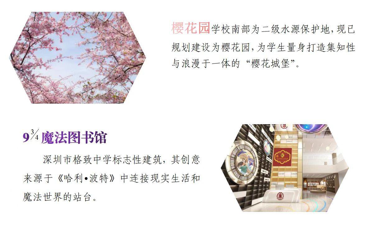 深圳市格致中学