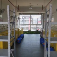深圳大学附属实验中学校园环境