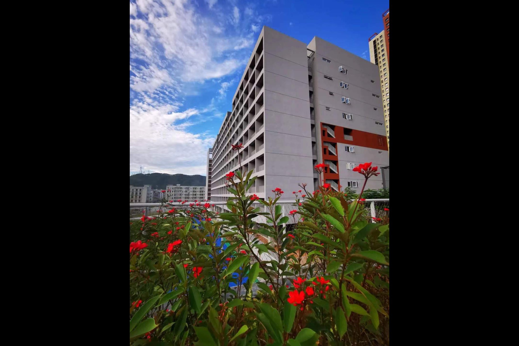 深圳大学附属实验中学