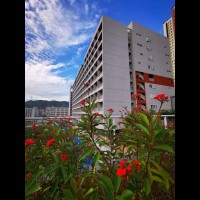 深圳大学附属实验中学校园环境