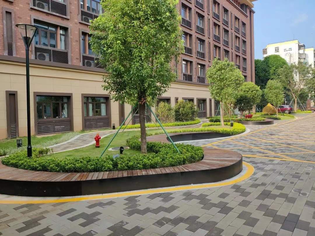 深圳市第二实验学校