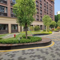 深圳市第二实验学校校园环境