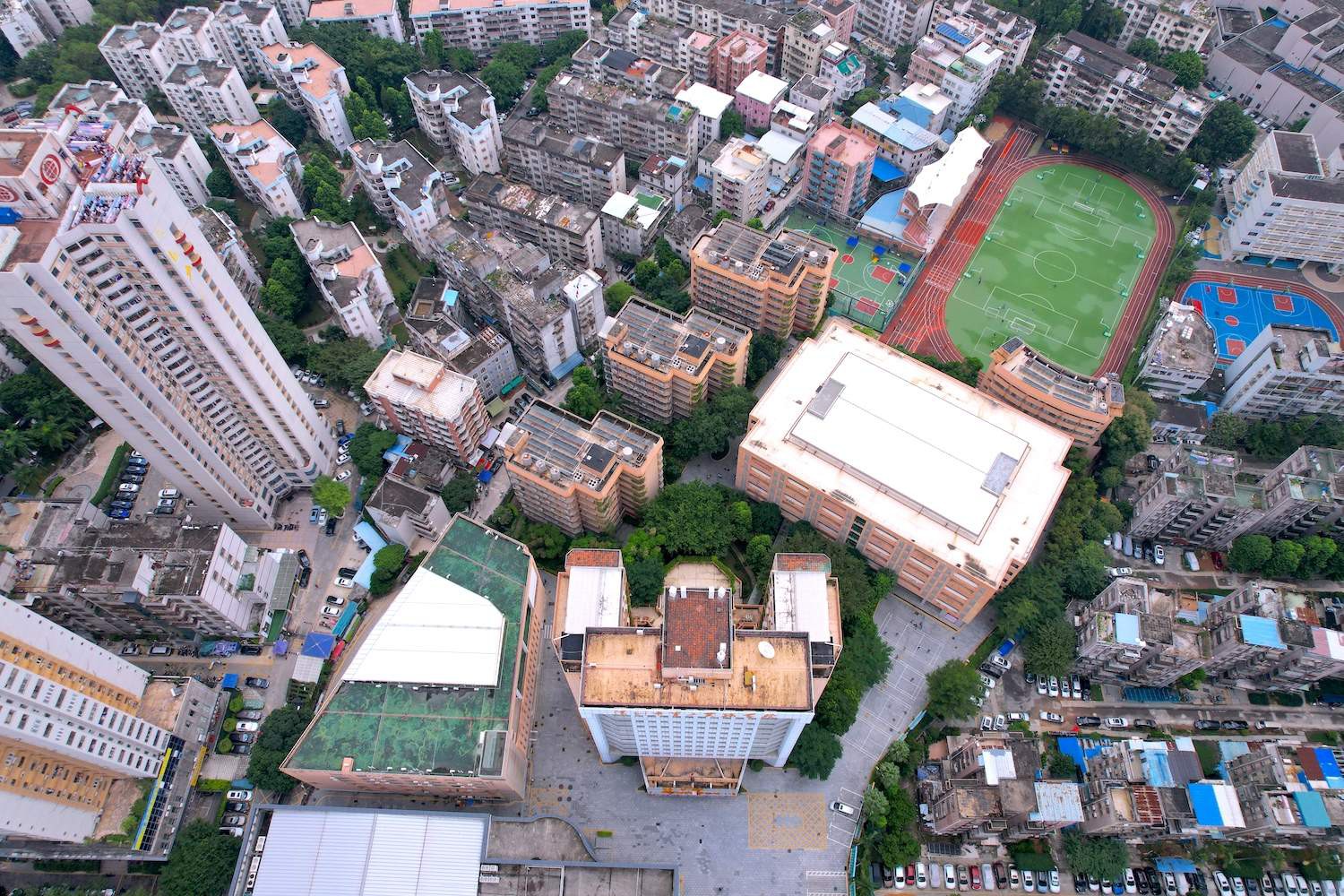 深圳市第二实验学校