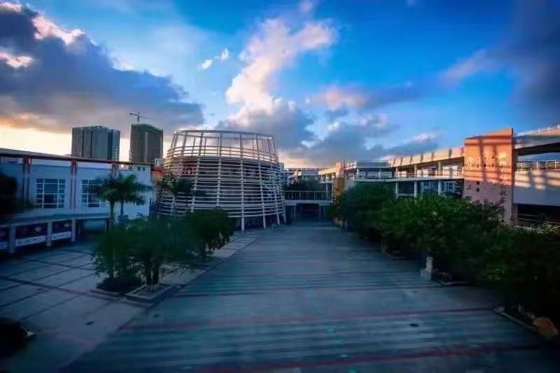 深圳市第三高级中学（国家留学基金委自费出国留学班）